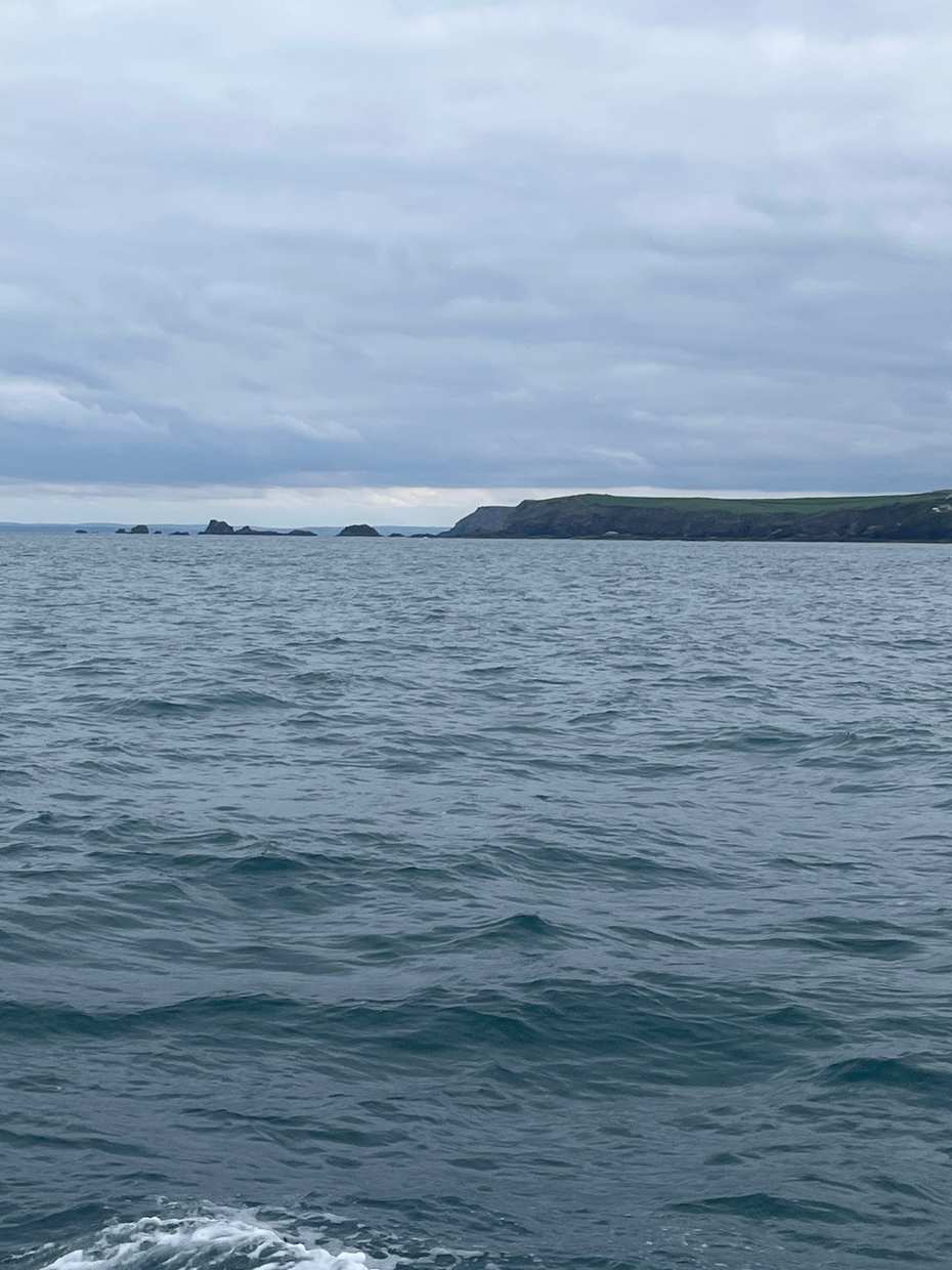 Dolphins swimming alongside the boat off the Lizard